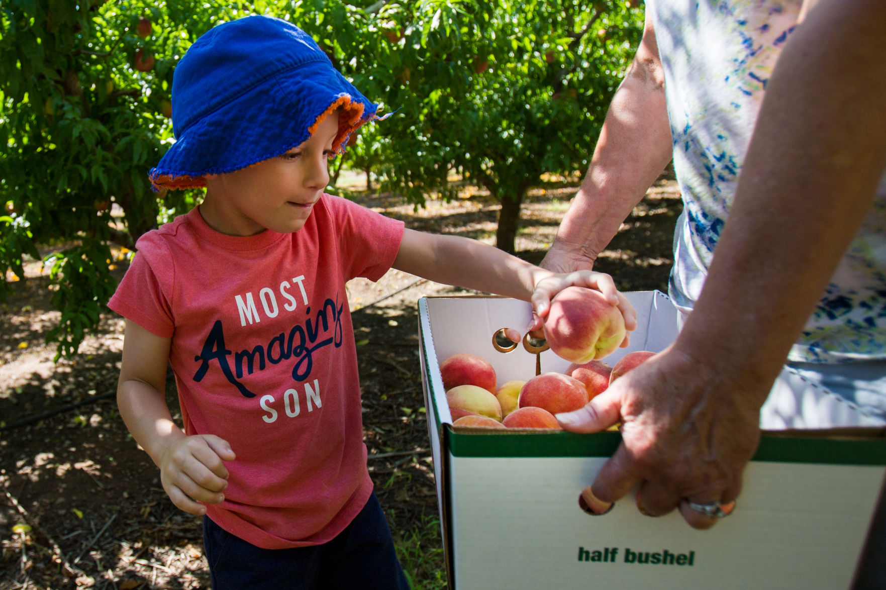 Peach Mania at Apple Annie's